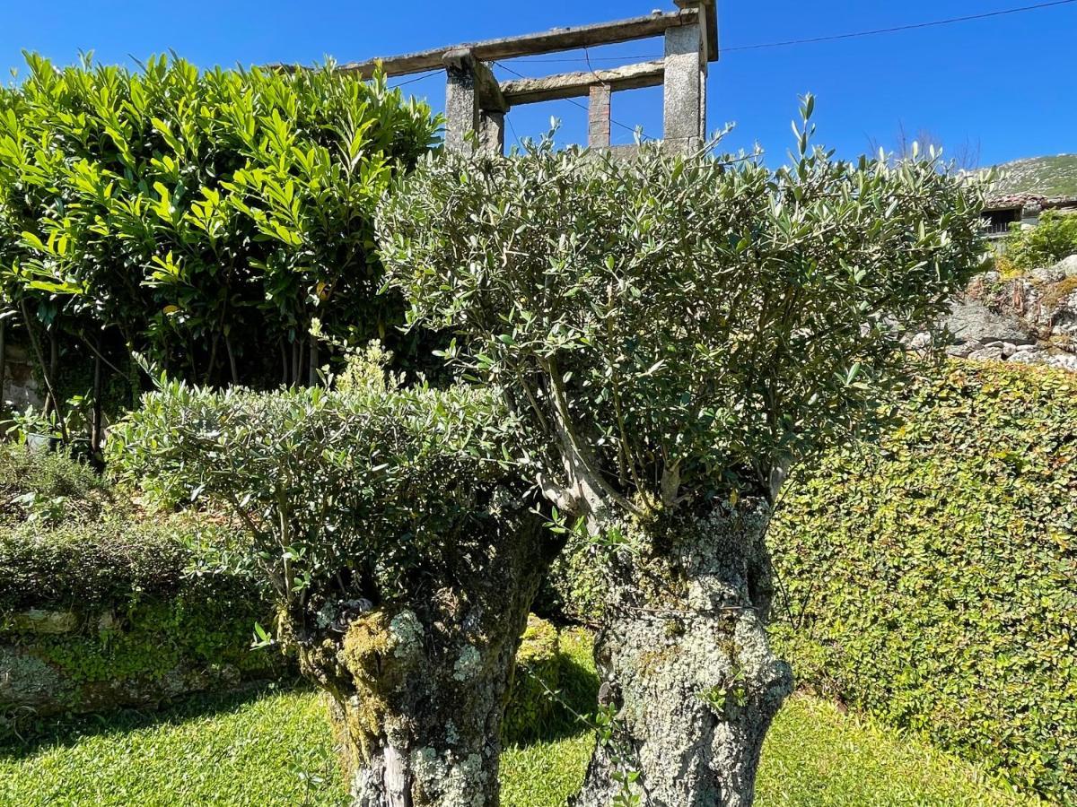 Casa De Santo Andre Villa Moncao Luaran gambar